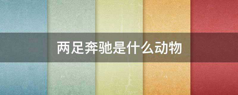 两足奔驰是什么动物